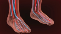 Effective Methods to Improve Foot Circulation